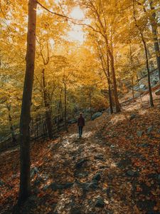 Preview wallpaper girl, forest, path, trees, slope, autumn