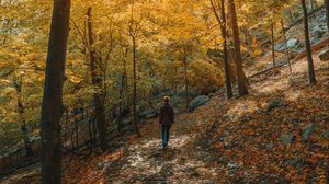 Preview wallpaper girl, forest, path, trees, slope, autumn