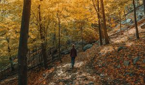 Preview wallpaper girl, forest, path, trees, slope, autumn