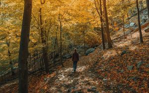 Preview wallpaper girl, forest, path, trees, slope, autumn