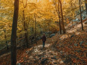 Preview wallpaper girl, forest, path, trees, slope, autumn