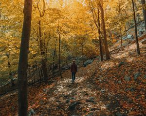 Preview wallpaper girl, forest, path, trees, slope, autumn
