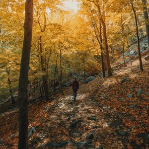 Preview wallpaper girl, forest, path, trees, slope, autumn