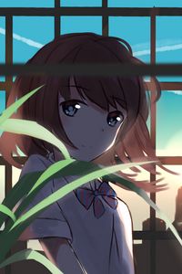 Preview wallpaper girl, glance, leaves, plant, sunset, anime, art
