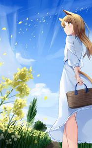 Preview wallpaper girl, glance, neko, ears, bag, anime