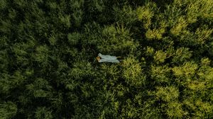 Preview wallpaper girl, grass, field, aerial view