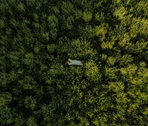 Preview wallpaper girl, grass, field, aerial view