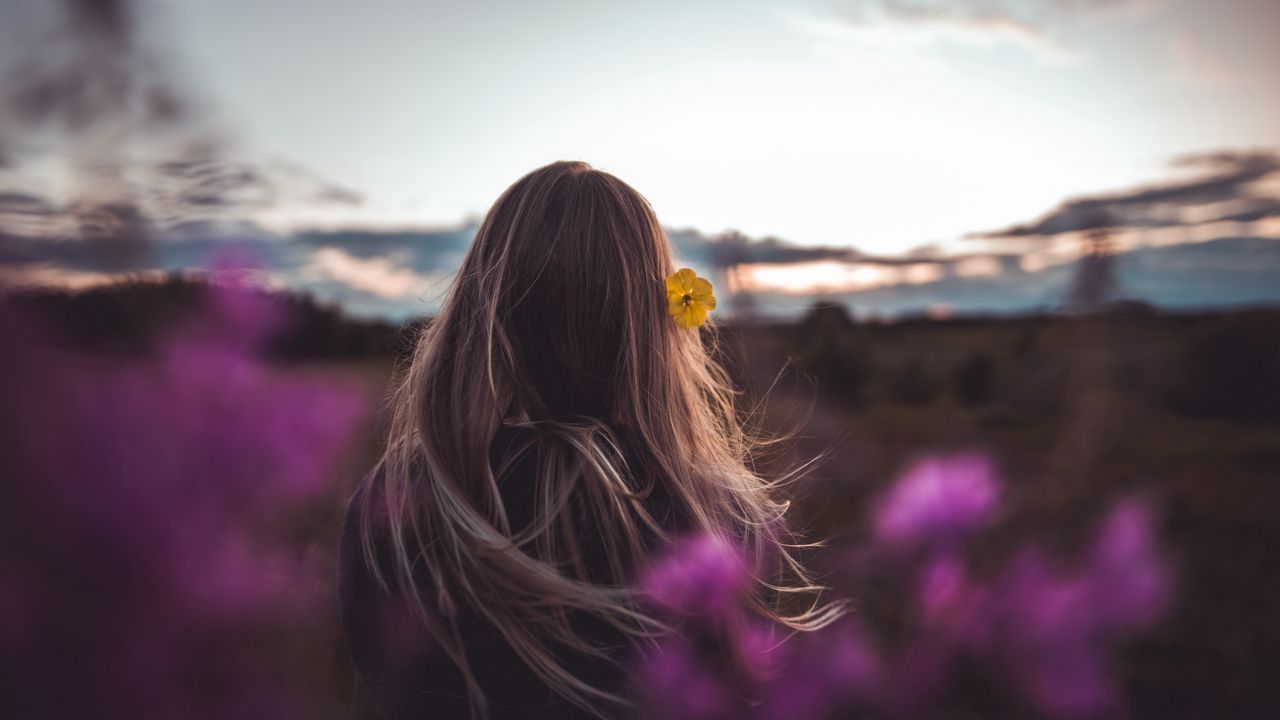 Wallpaper girl, hair, flower, nature, twilight
