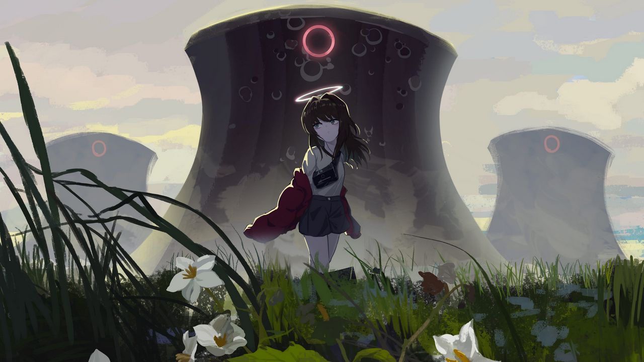 Wallpaper girl, halo, flowers, field, anime