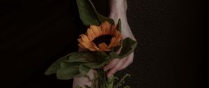 Preview wallpaper girl, hand, sunflower, flower, tattoo