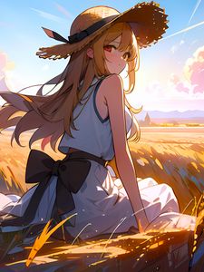 Preview wallpaper girl, hat, dress, field, anime