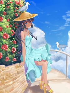 Preview wallpaper girl, hat, dress, bird, anime