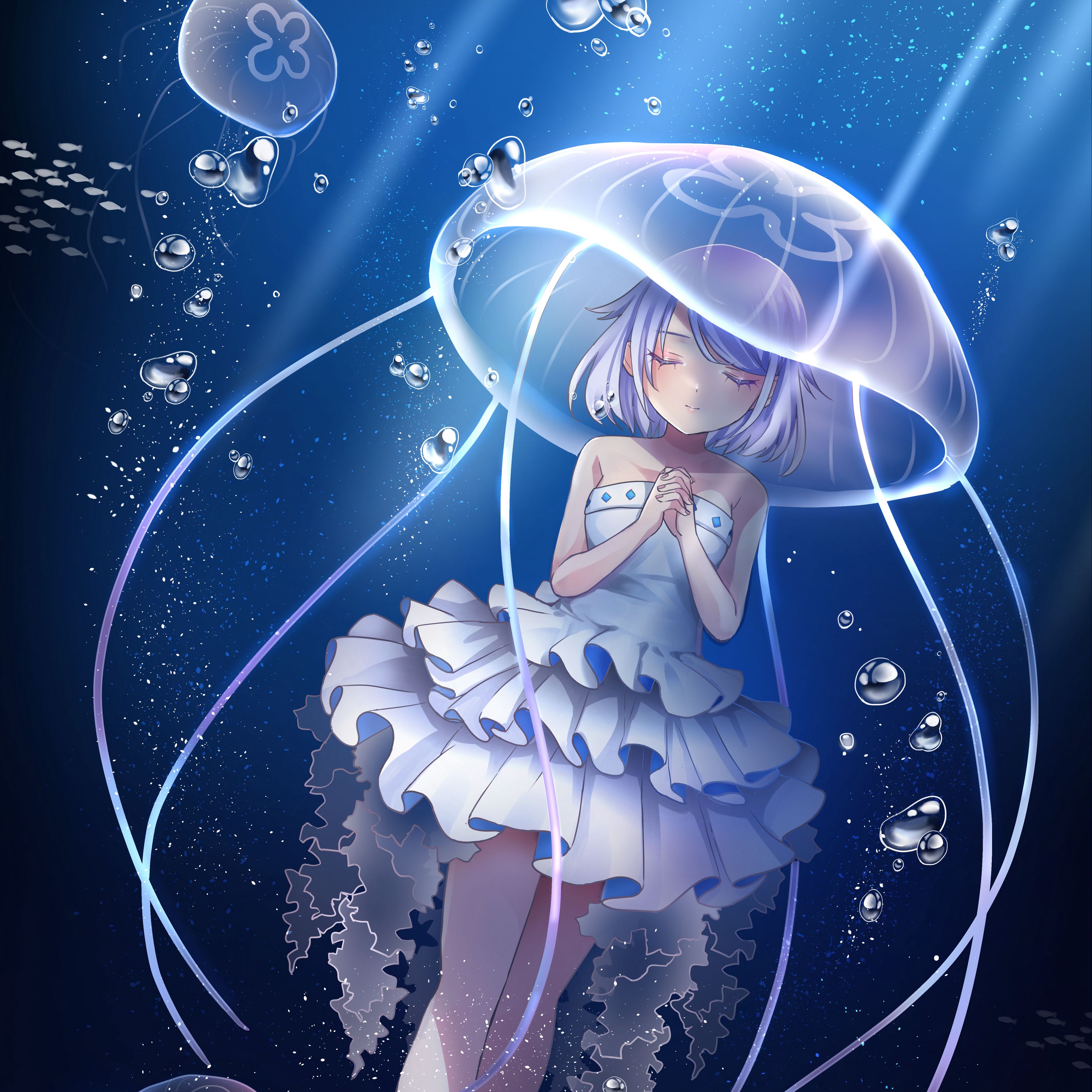 Anime jellyfish, jelly fish and anime girl anime #942343 on animesher.com