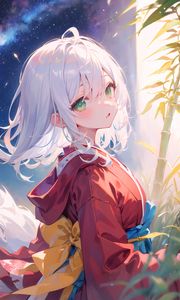 Preview wallpaper girl, kimono, bamboo, lanterns, starry sky, anime