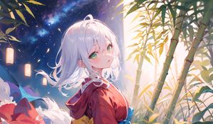 Preview wallpaper girl, kimono, bamboo, lanterns, starry sky, anime