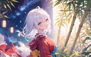 Preview wallpaper girl, kimono, bamboo, lanterns, starry sky, anime