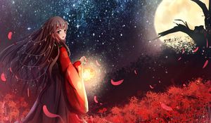 Preview wallpaper girl, kimono, lantern, light, anime