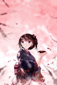 Preview wallpaper girl, kimono, plate, petals, anime, japan