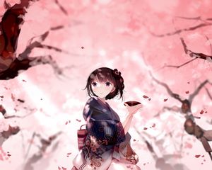 Preview wallpaper girl, kimono, plate, petals, anime, japan