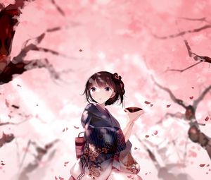 Preview wallpaper girl, kimono, plate, petals, anime, japan