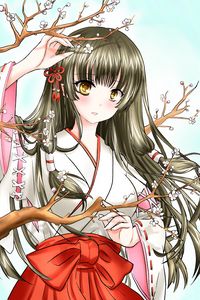 Preview wallpaper girl, kimono, sakura, branches, anime, art