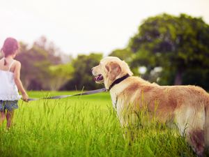 Preview wallpaper girl, leash, dog, walk, grass, park