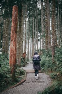 Preview wallpaper girl, loneliness, alone, path, forest