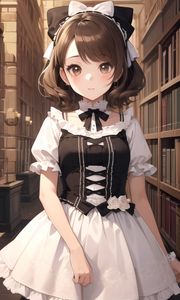 Preview wallpaper girl, maid, books, anime