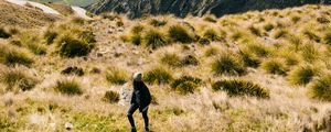 Preview wallpaper girl, mountains, grass, travel, tourist, queenstown, new zealand