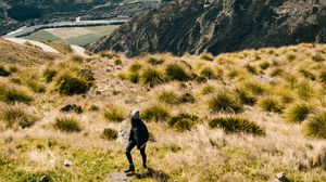 Preview wallpaper girl, mountains, grass, travel, tourist, queenstown, new zealand