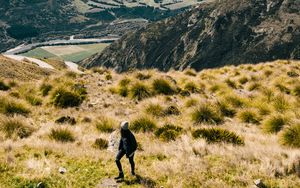 Preview wallpaper girl, mountains, grass, travel, tourist, queenstown, new zealand