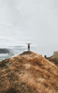 Preview wallpaper girl, mountains, top, freedom, grass