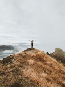 Preview wallpaper girl, mountains, top, freedom, grass