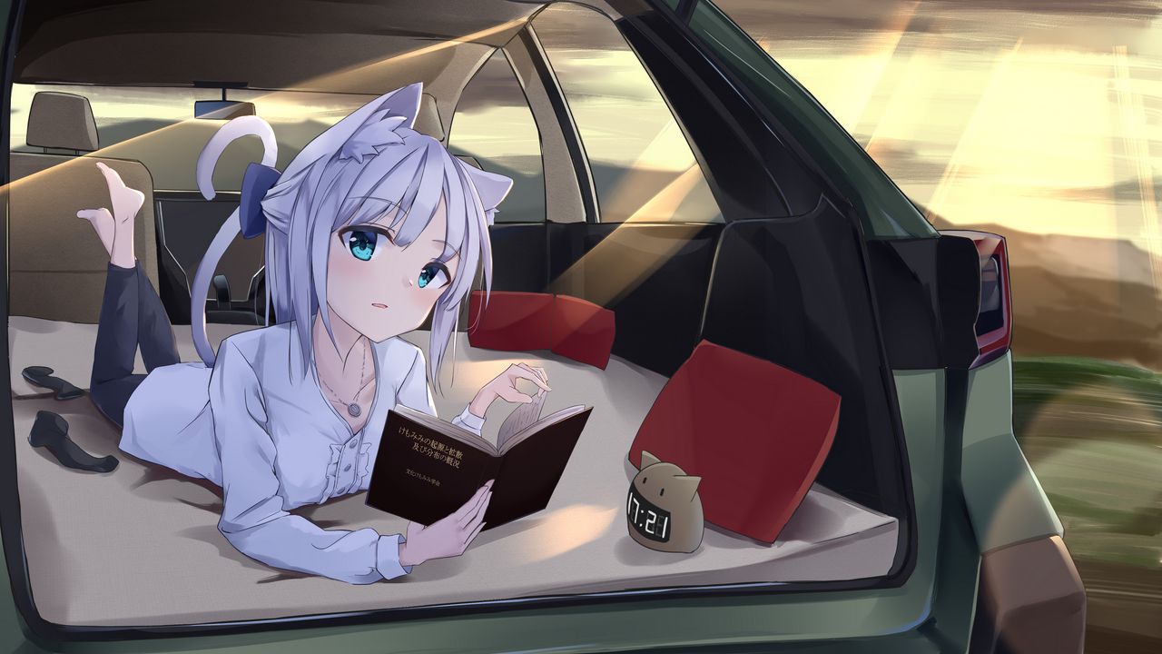 Wallpaper girl, neko, book, car, anime