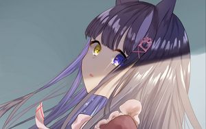 Preview wallpaper girl, neko, ears, glance, heterochromia, anime