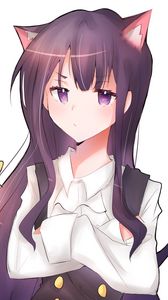 Preview wallpaper girl, neko, ears, anime