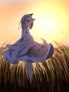 Preview wallpaper girl, neko, ears, look, dress, anime