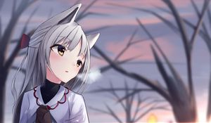 Preview wallpaper girl, neko, ears, winter, cold, anime