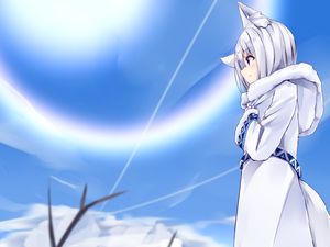 Preview wallpaper girl, neko, hood, anime, white