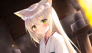 Preview wallpaper girl, neko, kimono, anime