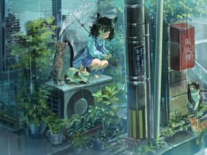 Preview wallpaper girl, neko, umbrella, cat, rain, anime