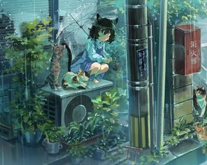 Preview wallpaper girl, neko, umbrella, cat, rain, anime