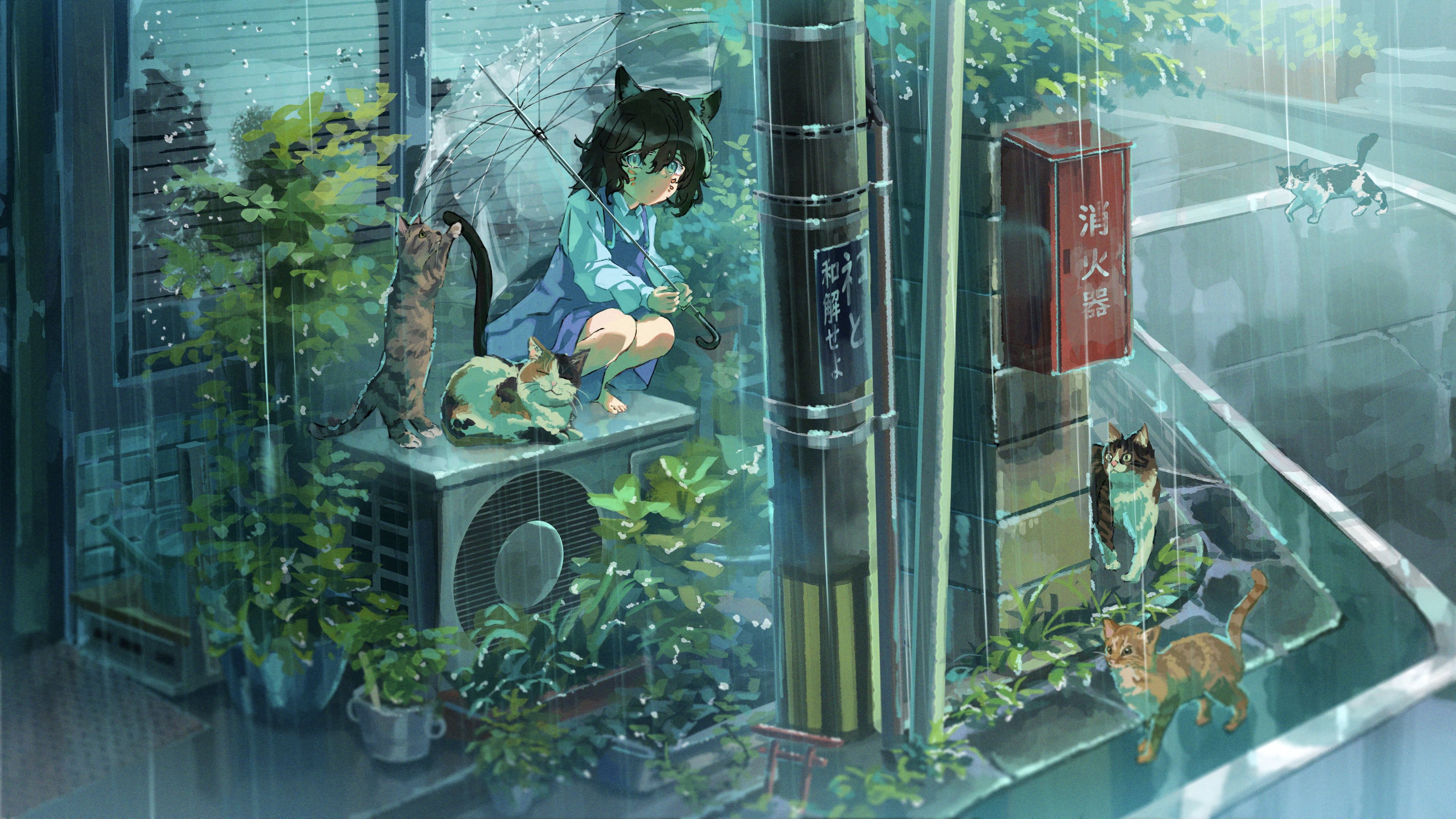 Download wallpaper 3840x2160 girl, neko, umbrella, cat, rain, anime hd  background