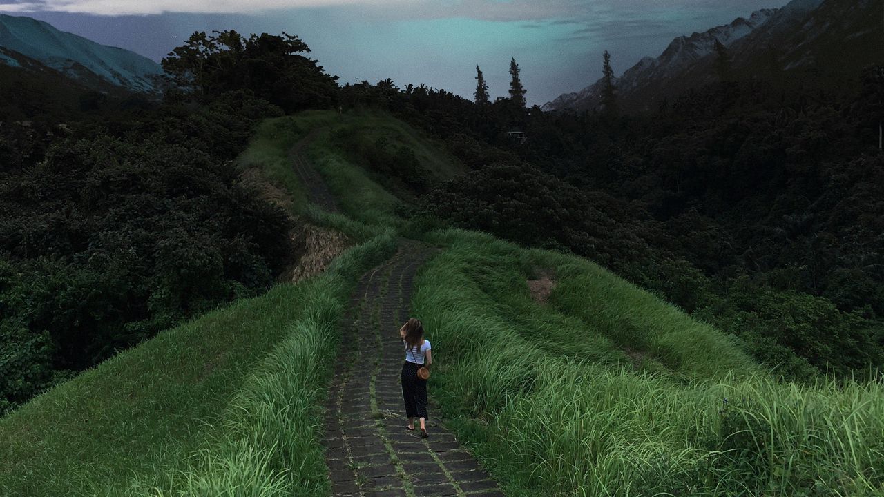 Wallpaper girl, path, stars, solitude, grass