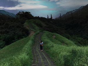 Preview wallpaper girl, path, stars, solitude, grass