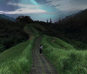 Preview wallpaper girl, path, stars, solitude, grass
