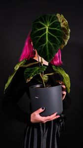 Preview wallpaper girl, plant, pot