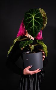 Preview wallpaper girl, plant, pot