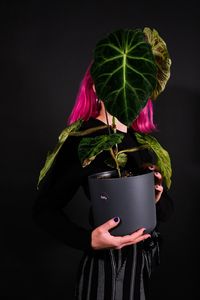 Preview wallpaper girl, plant, pot