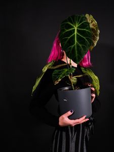 Preview wallpaper girl, plant, pot